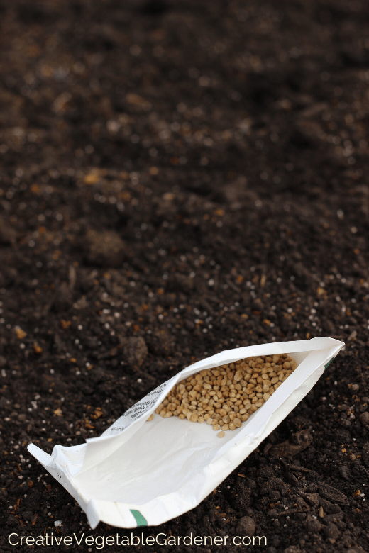 which vegetables to direct seed