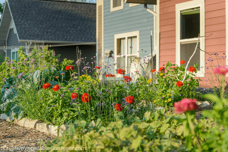 how to build a raised bed garden