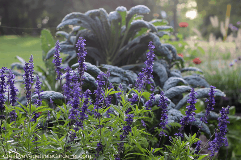 flower and vegetable garden ideas flower and vegetable garden ideas