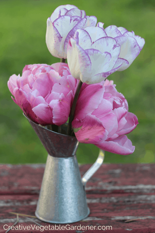 vegetable and flower garden ideas vegetable and flower garden ideas