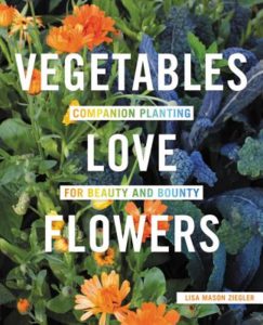 flower and vegetable garden ideas