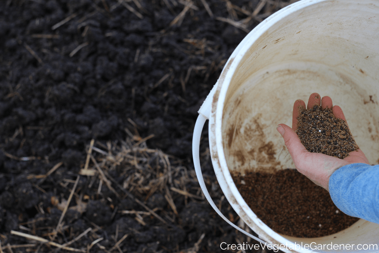 adding organic fertilizer to garlic planting bed