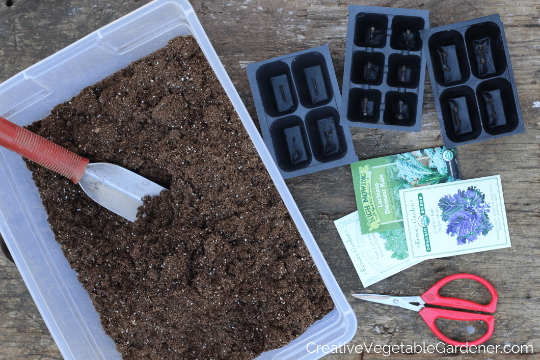 seed starting supplies