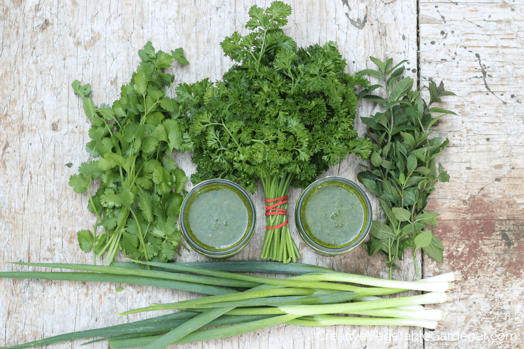 herbs grown in garden