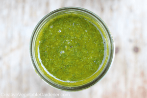 basil herb sauce for preserving for winter