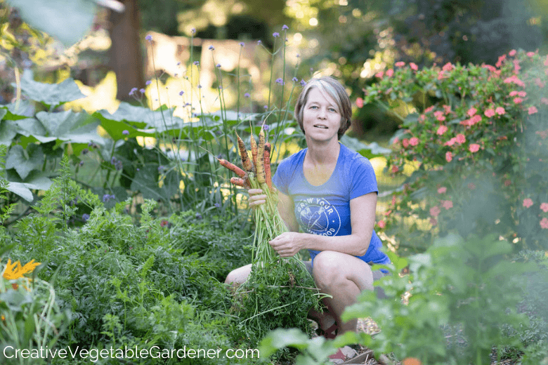 woman harvesting carrots from the garden