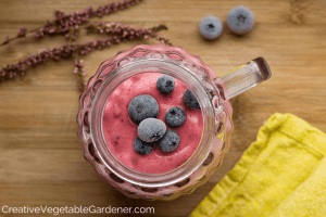 smoothie with raspberries and blueberries