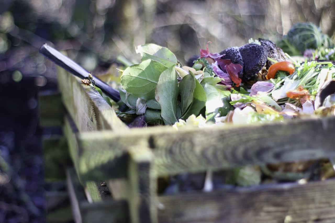 composting vegetables