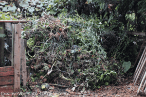 vegetable plants being composted