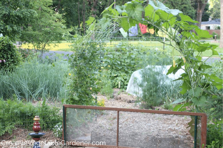 trellis van veepaneel voor tomaten