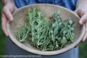 herb gardening puns
