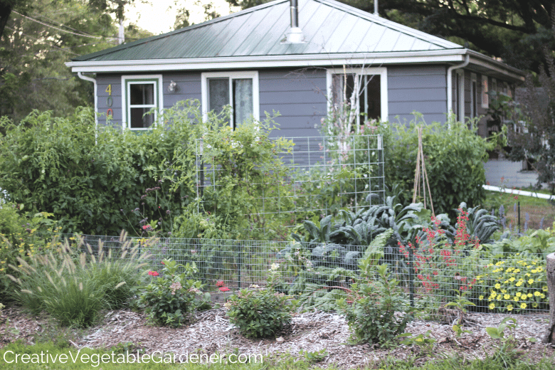 front yard vegetable garden