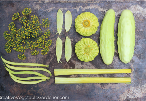 A display of yellow vegetable and flowers