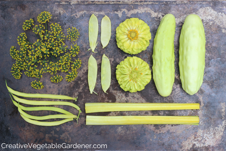 Fruit & Vegetable Storage 101 - Have A Plant