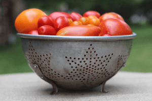 The best way to transplant tomatoes
