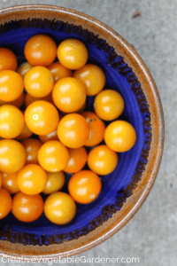 cherry tomatoes in a blue bowl