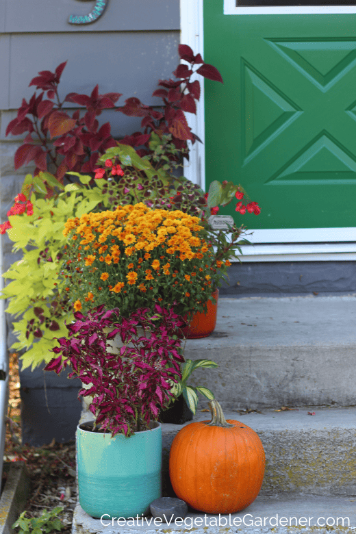 fall pumpkins and flowers