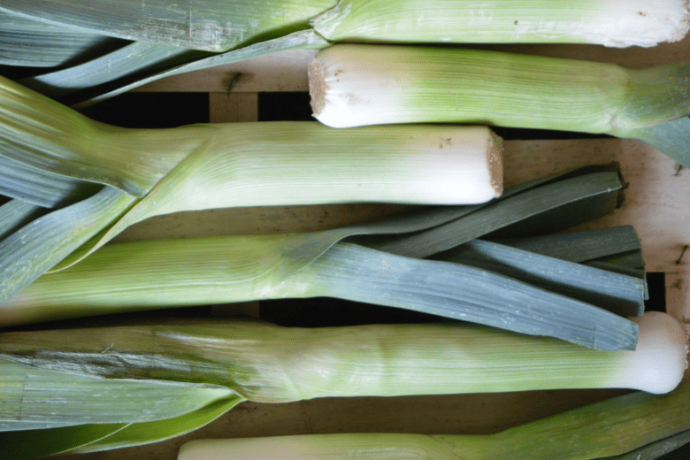 leek harvest