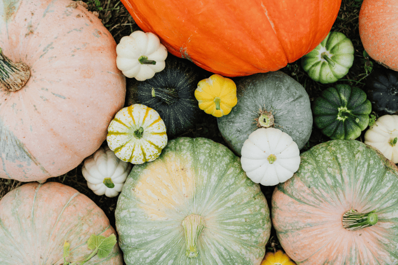 different colored pumpkins