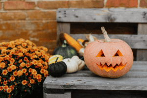 pumpkin with fall display