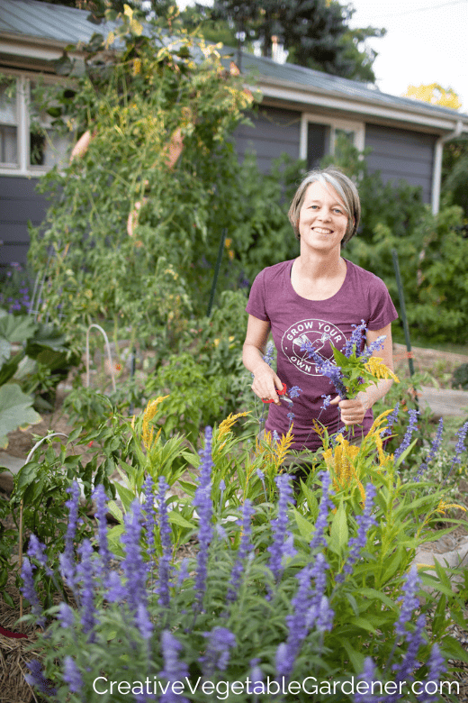 harvesting flowers in vegetable garden