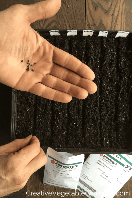 hand and seeds and soil